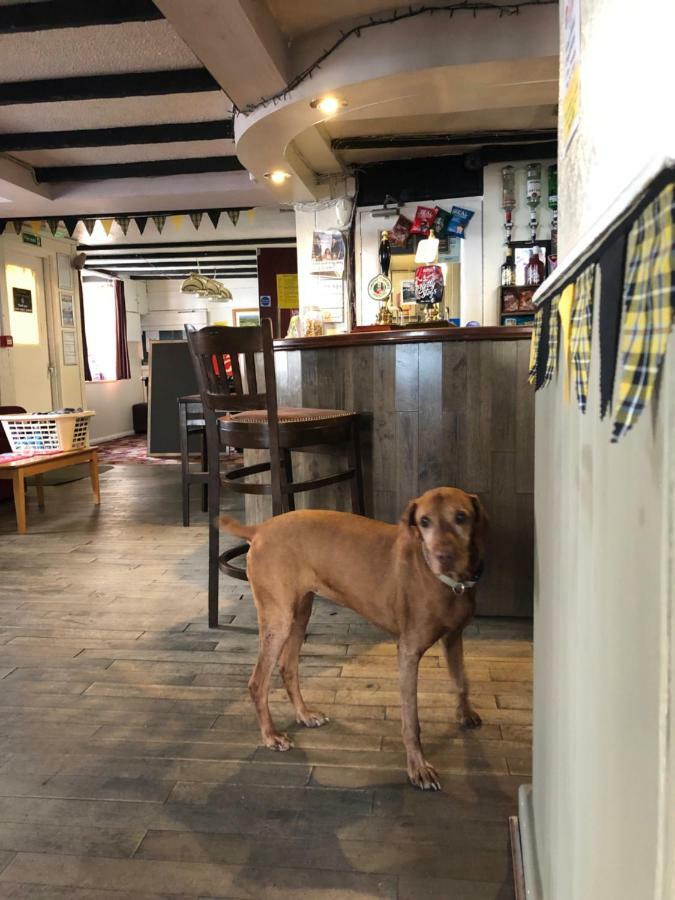 Hotel The Kings Head Chacewater Esterno foto